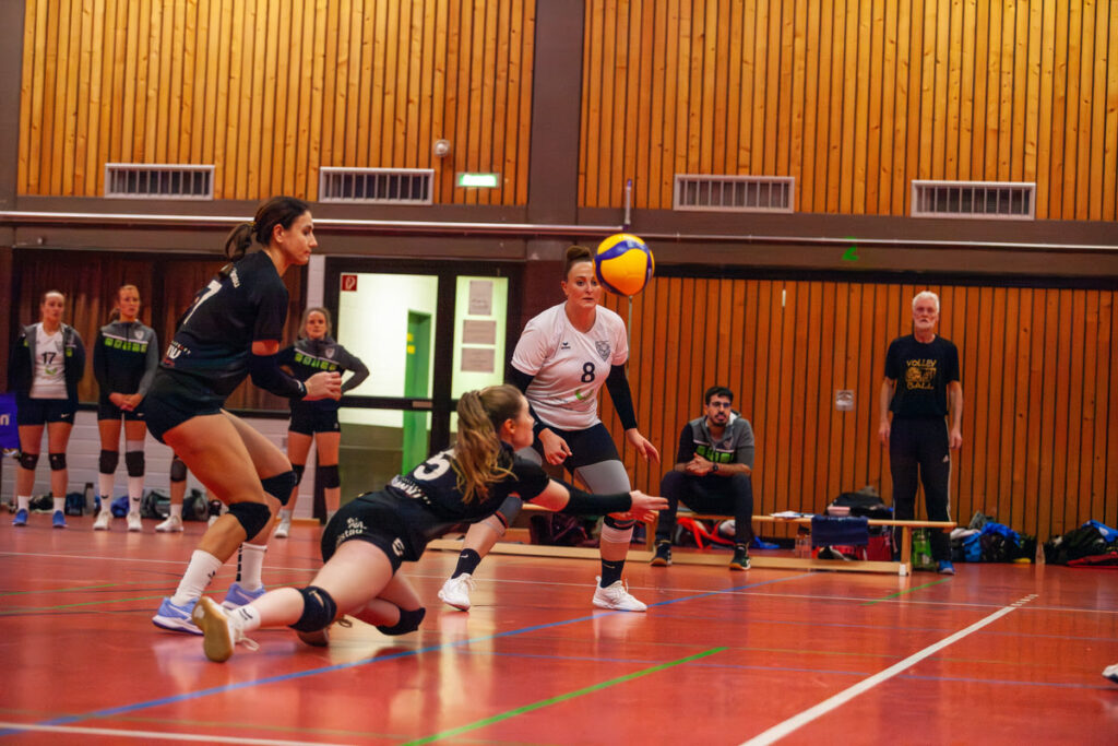 TSV 1860 Hanau Volleyball: Damen Oberliga Hessen gegen Eintracht Frankfurt am 09.11.2024